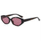 Tortoise/Pink