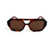 Brown Tortoise/Brown
