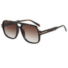 Brown Tortoise/Brown